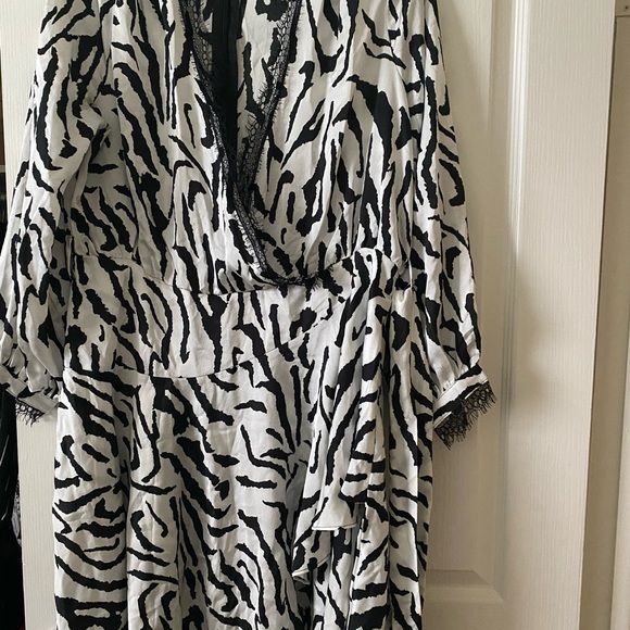 FASHION NOVA - ZEBRA PRINT DRESS - Picture 3 of 10